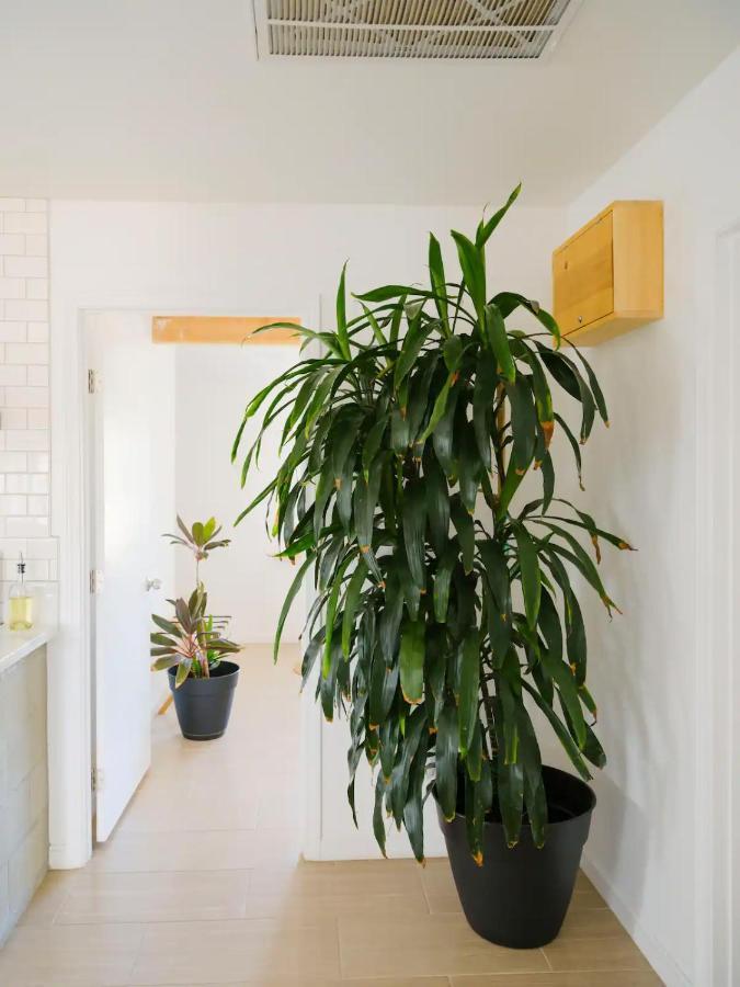 The Zen - Outdoor Shower, Gas Fireplace, Walkable To Shops & Restaurants Joshua Tree Exterior photo